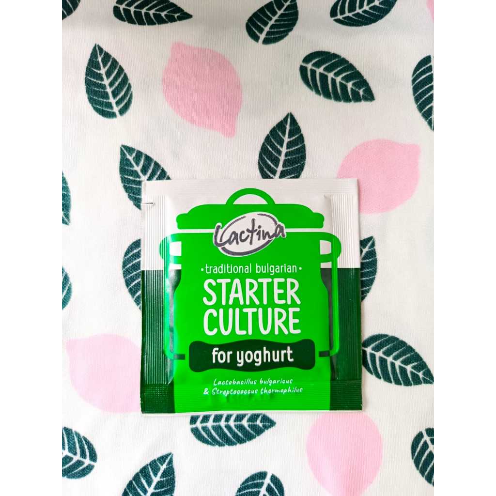 Bibit Yoghurt Lactina Original