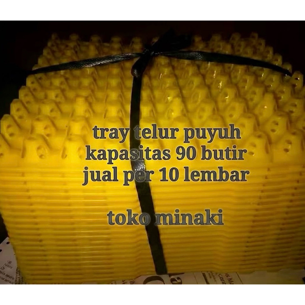 Egg Tray Telur Puyuh Plastik
