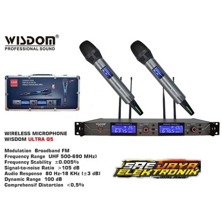 Mic Wisdom Ultra Q5 Dual Channel