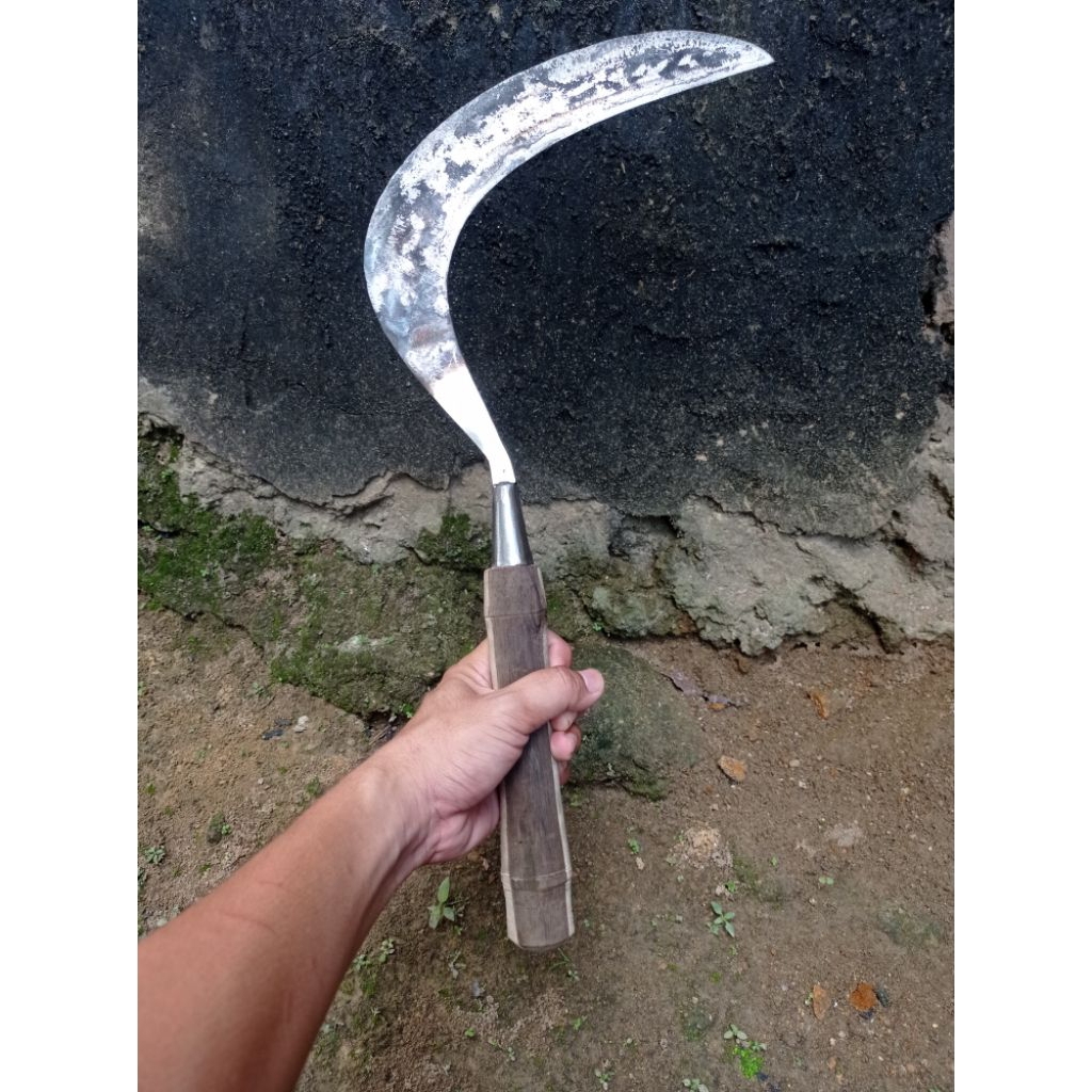 Sabit /Arit rumput bahan baja isen asli madura