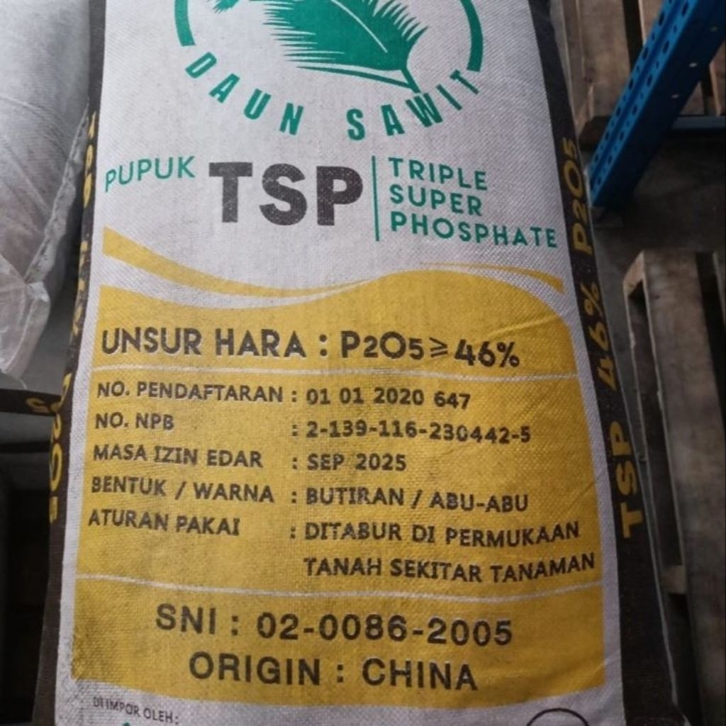 pupuk asli TSP 46 daun sawit 50 kg