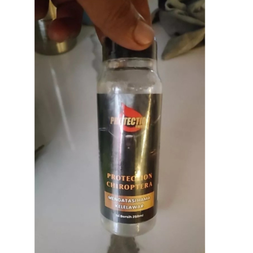 PROTECTION CHIROPTERA, obat kelelawar