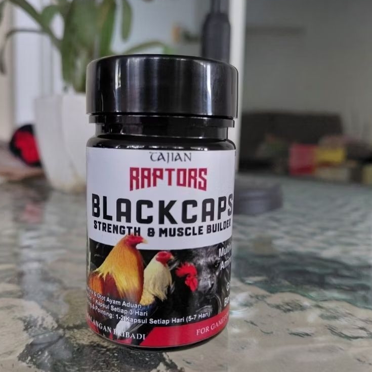 BlackCaps Raptors Tajian Doping Ayam Taji Pisau Aduan Multivitamin ATP