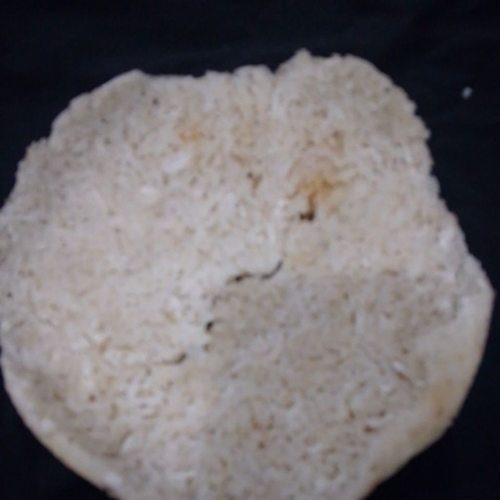 KERAK NASI / INTIP