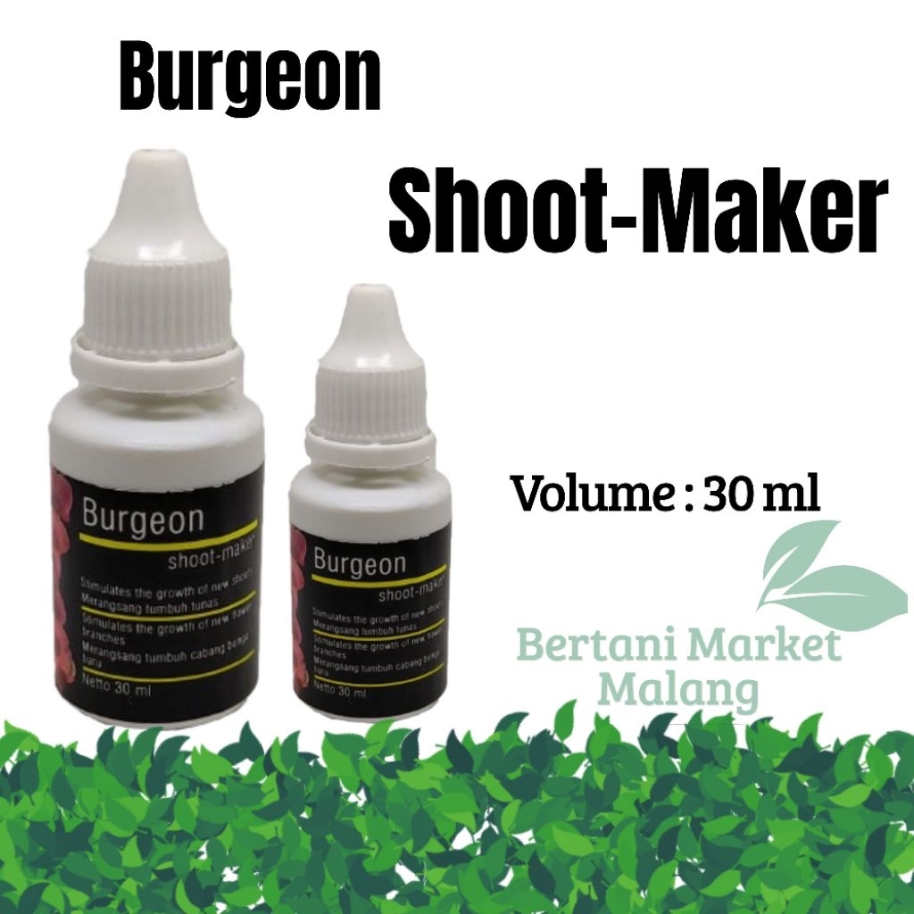 Burgeon Shoot Maker 30 ml hormon 6-BAP 6 BAP Benzylaminopurine hijau pupuk tetes tunas