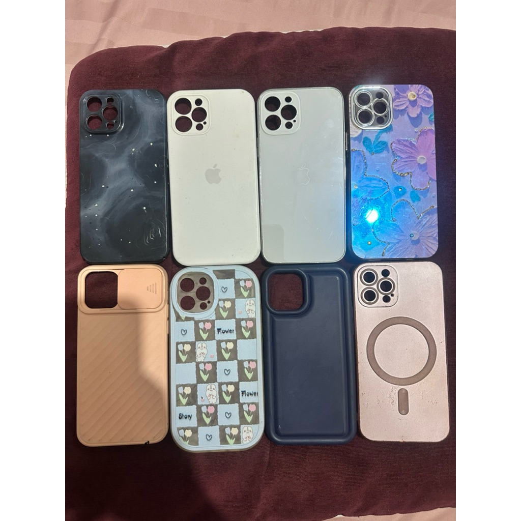 case 12 pro