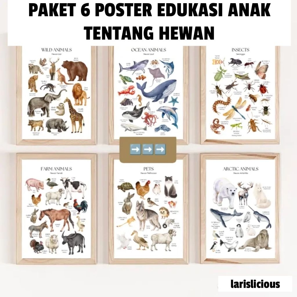 Paket 6 Poster Edukasi Anak Hewan | Poster Belajar Anak A3+ | Dekorasi Kamar Anak Estetik | Animal E