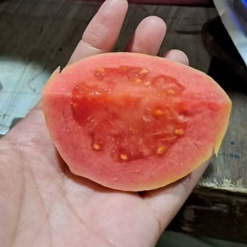 Jambu merah, jus jambu merah