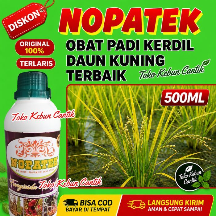 NOPATEK Obat Padi Kerdil Original | Padi Cepat Tumbuh Sehat & Tidak Bulai