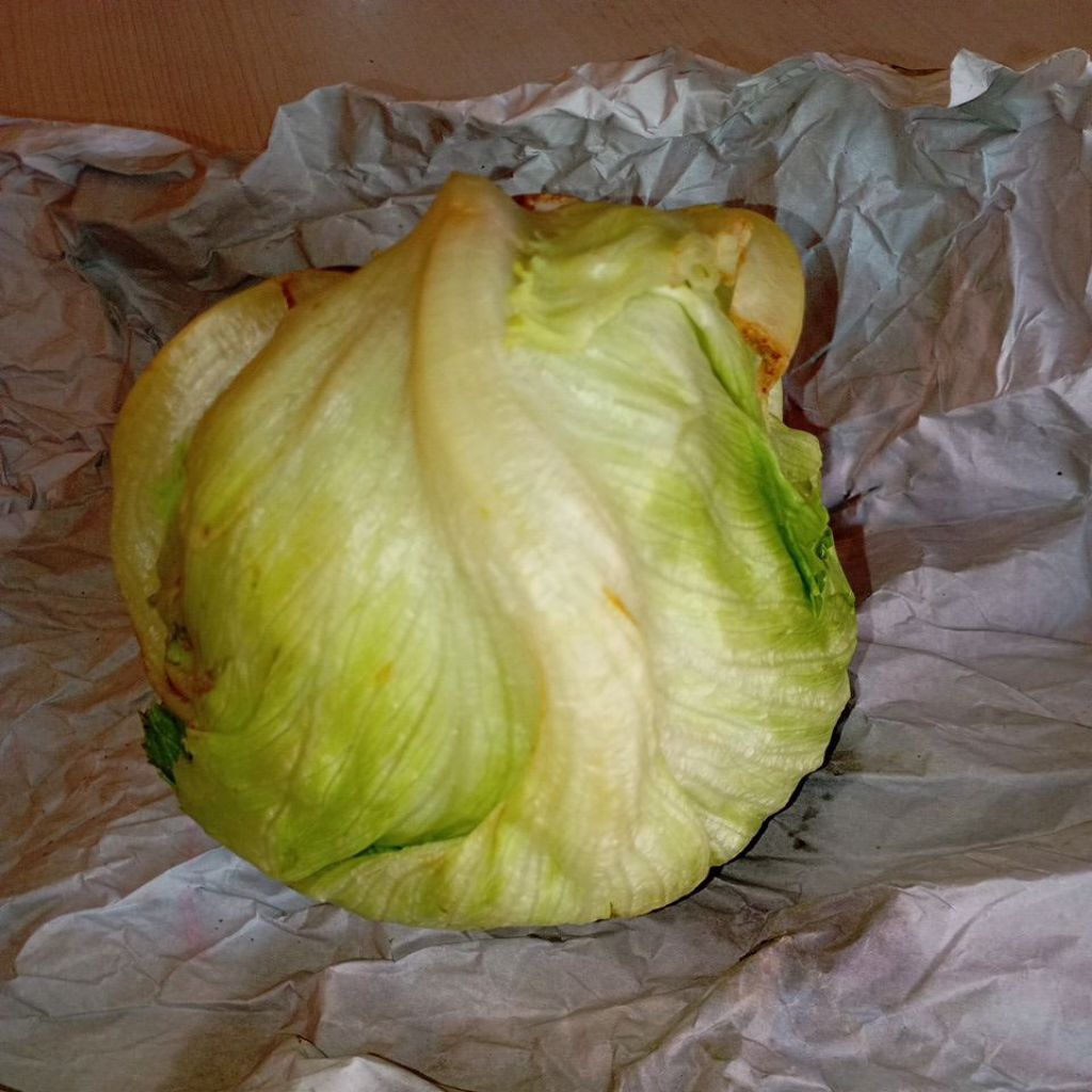 Sayur Letes Letucehead / HeadLetuce / Letus segar kilogram