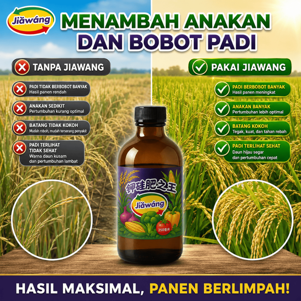 JIAWANG Pupuk Kalium Silika Murni Cair Original Anti Rebah Pengeras Batang Tanaman Anti Patek Pengis