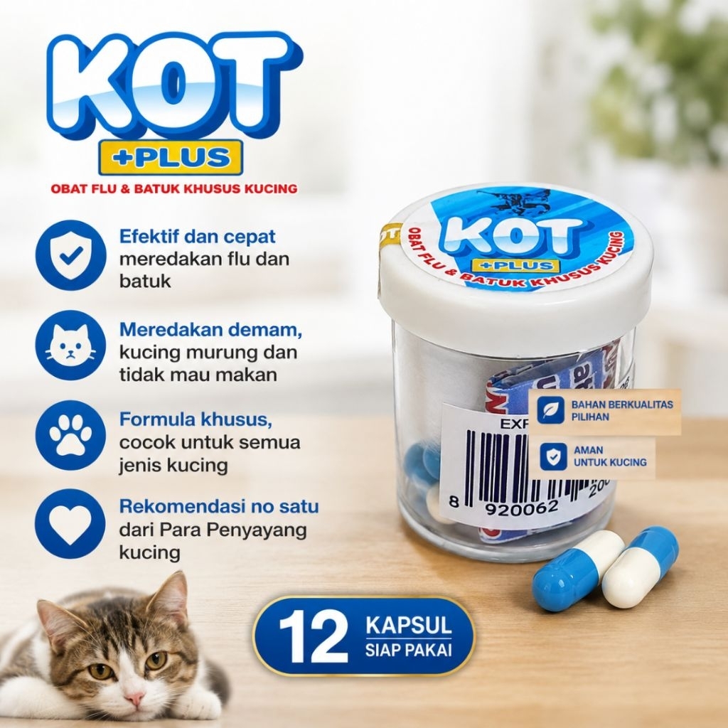 Obat Flu dan Batuk Kucing, Flu dan batuk Kucing Alergi dingin, Flu dan Batuk Kucing membandel