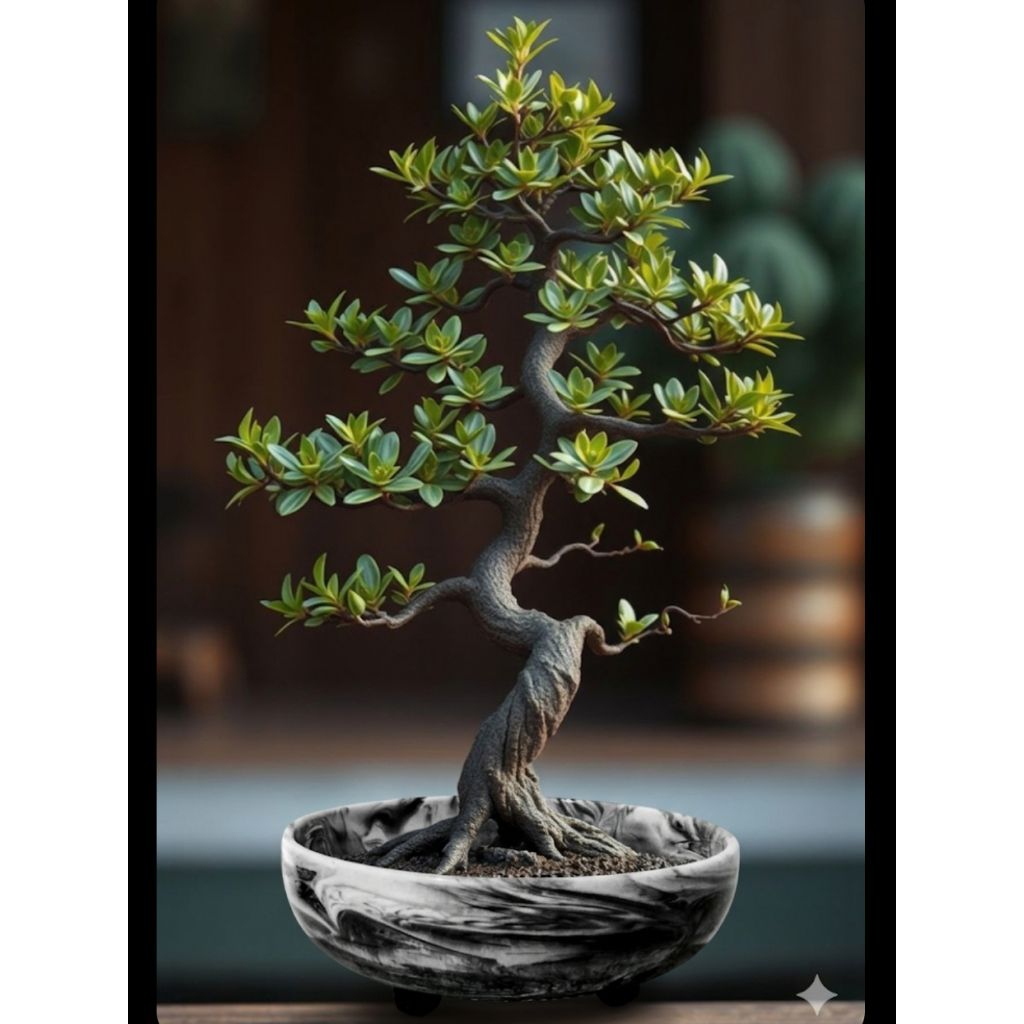 Pot Bonsai Marmer 24,5 cm