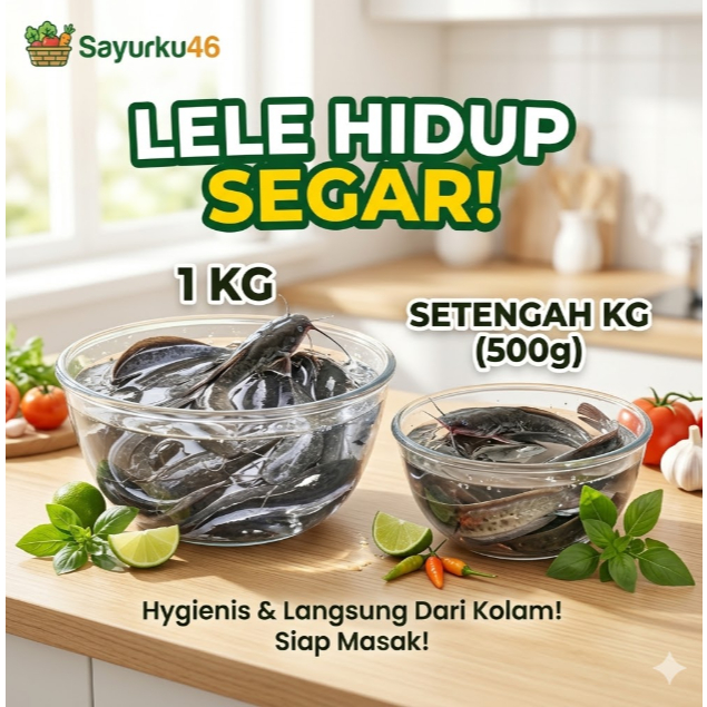 Lele Hidup Segar Langsung Dari Kolam (Porsi 1kg & 0.5kg) - Sayurku46 (Depok)