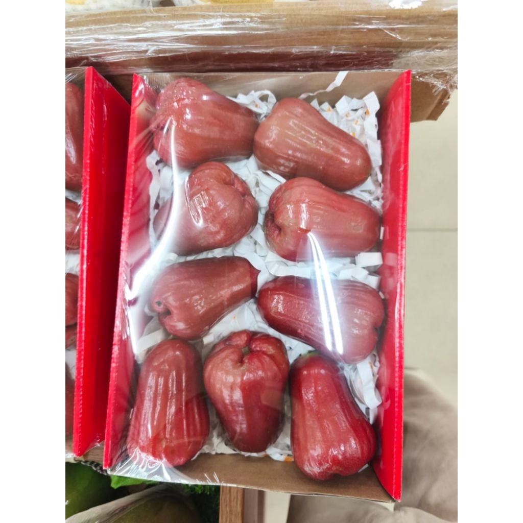 Jambu Air Madu Merah Premium Fresh – Manis, Renyah & Segar Pilihan Terbaik