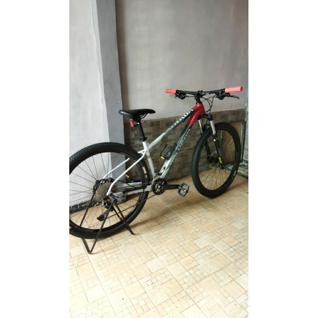 xtrada 5 2023 M 29er