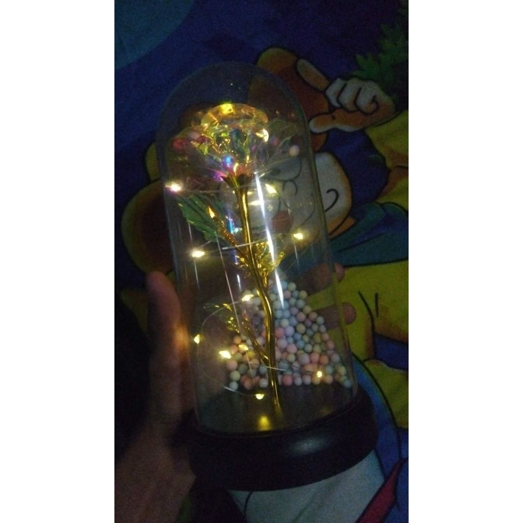 lampu bunga tidur