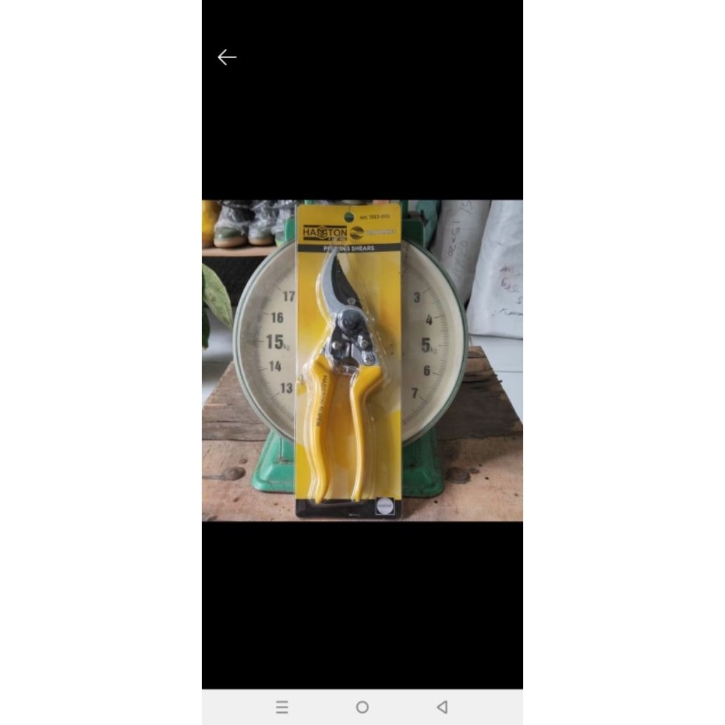Gunting dahan Haston 1353-002