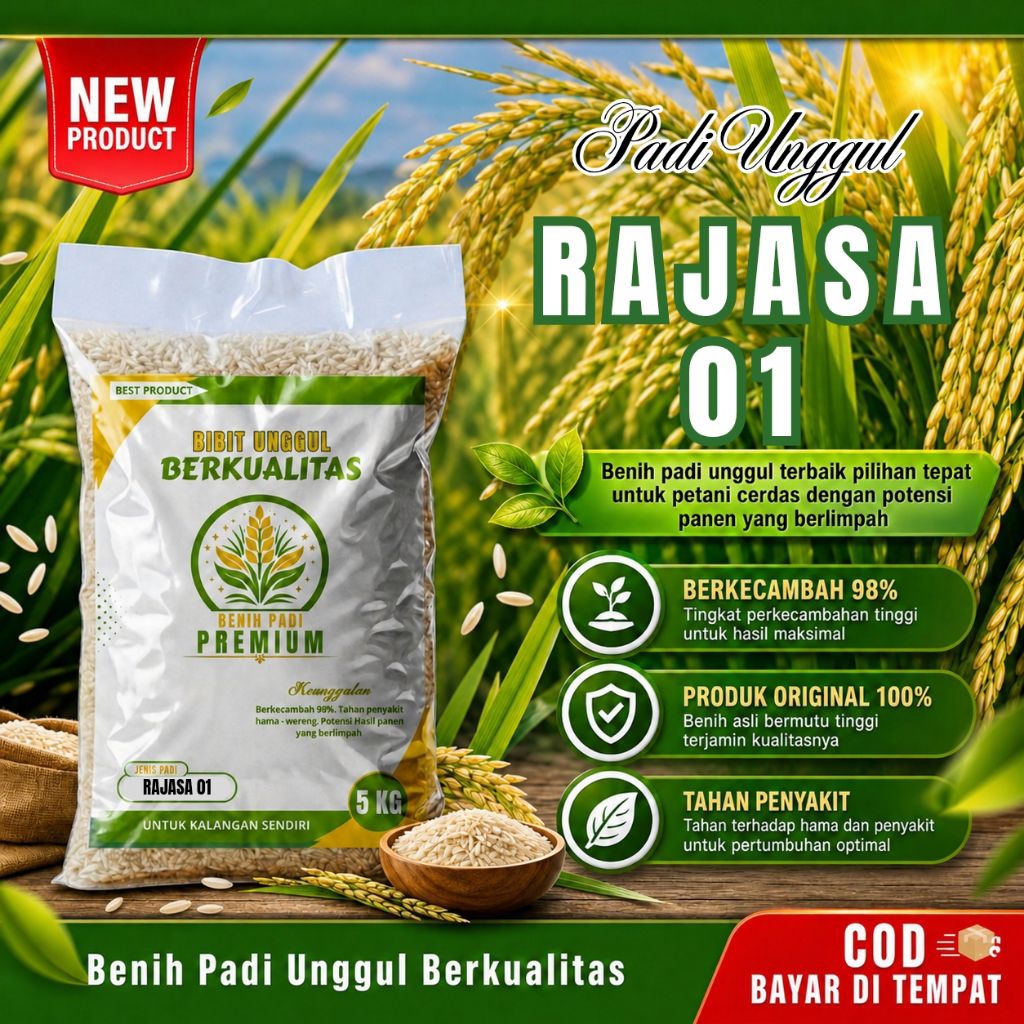 Benih padi unggul RAJASA 01 kemasan 5kg original
