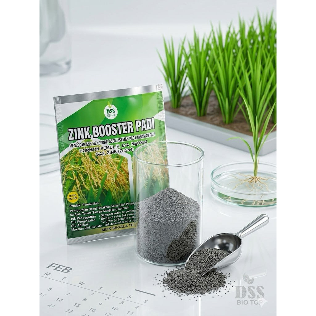 ZINK BOOSTER PADI DSS BIO TOP