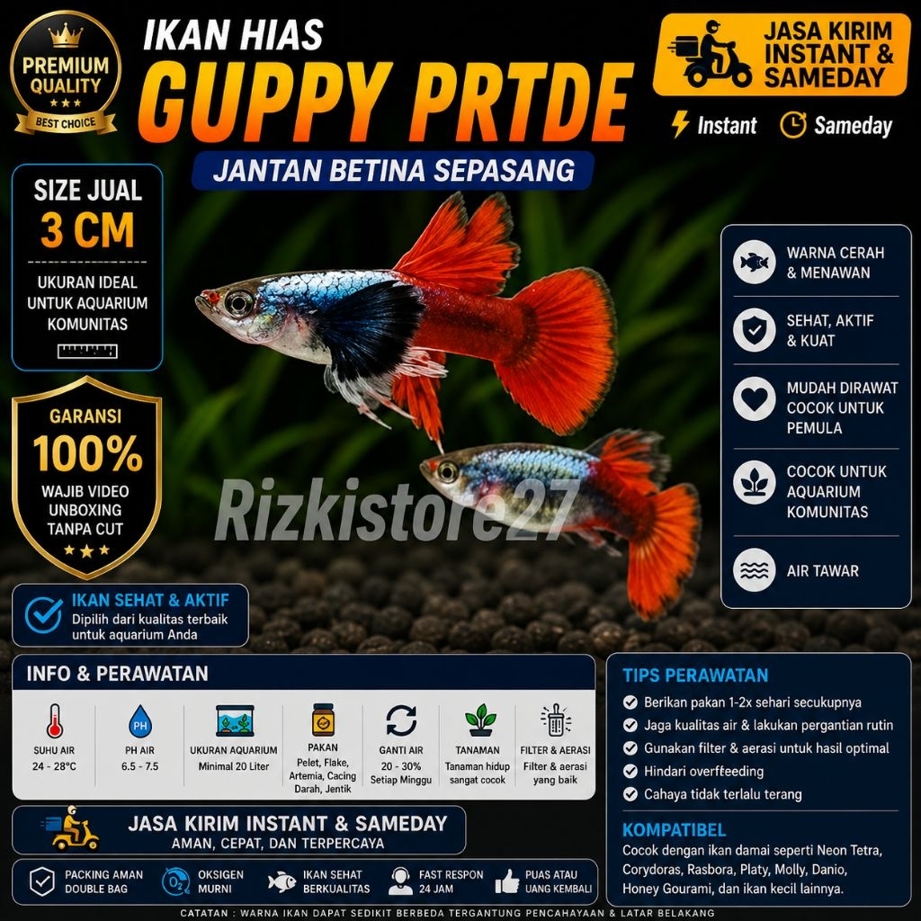 Ikan Hias Guppy PRTDE Jantan Betina Sepasang Size 3 Cm Aquarium Air Tawar Aquascape