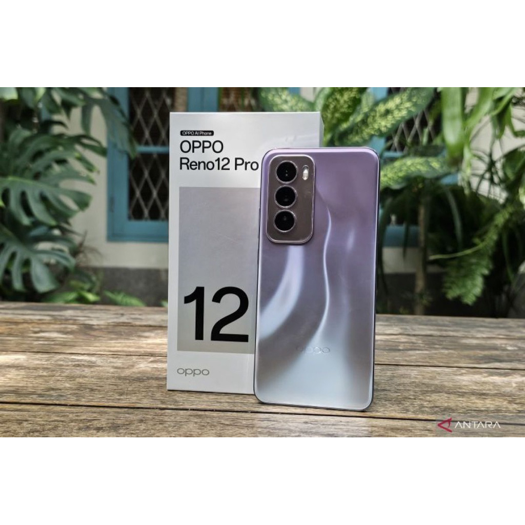 oppo reno 12 pro
