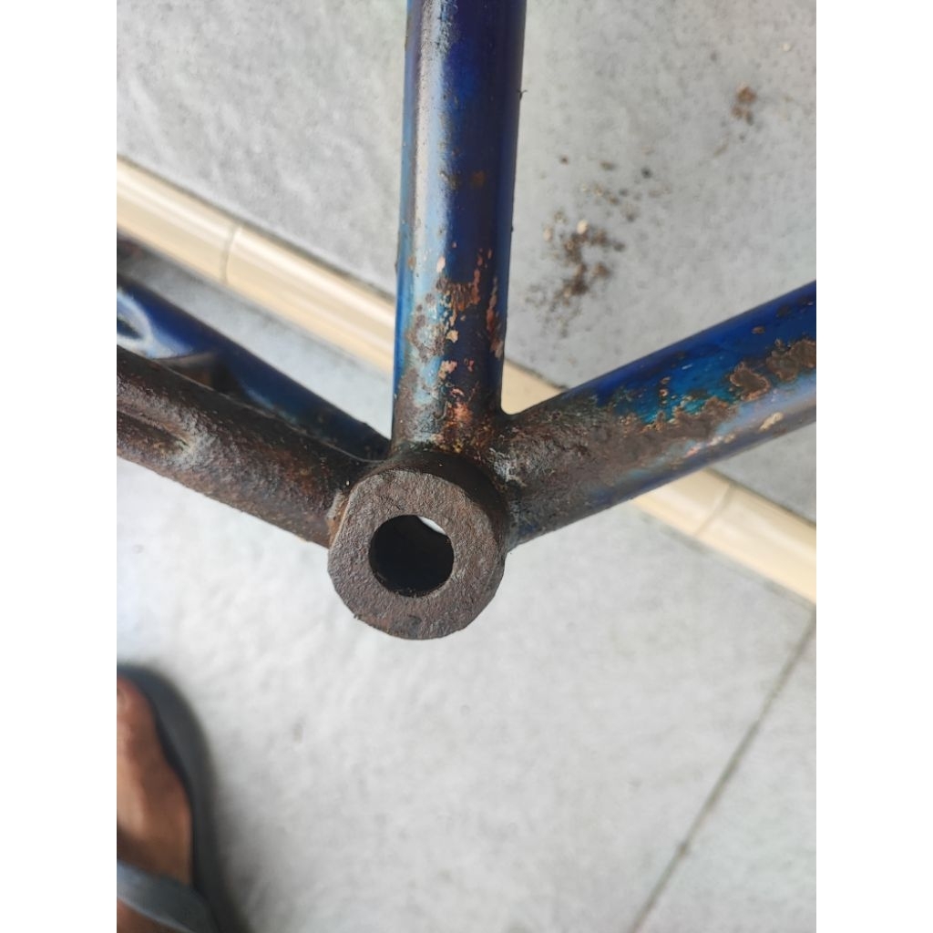 frame set federal lady 26