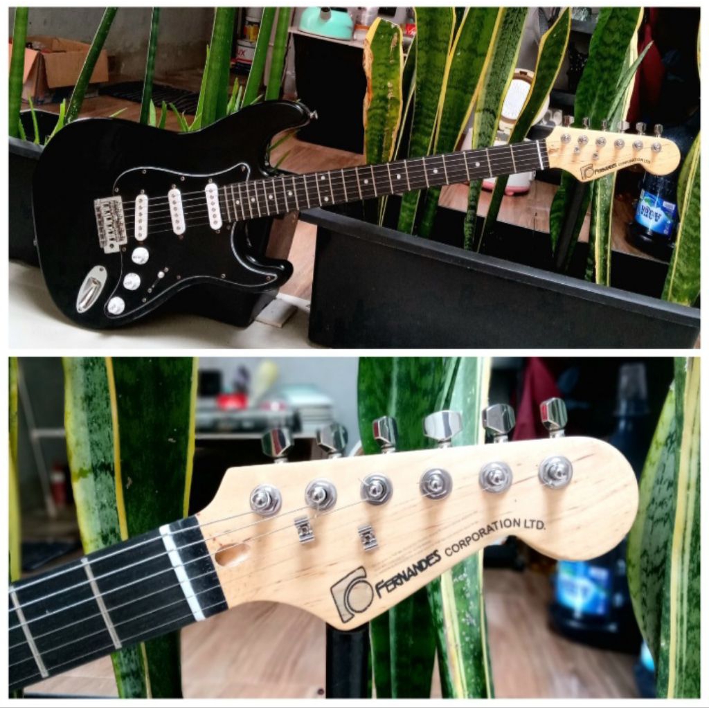 Fernandes Stratocaster Copy