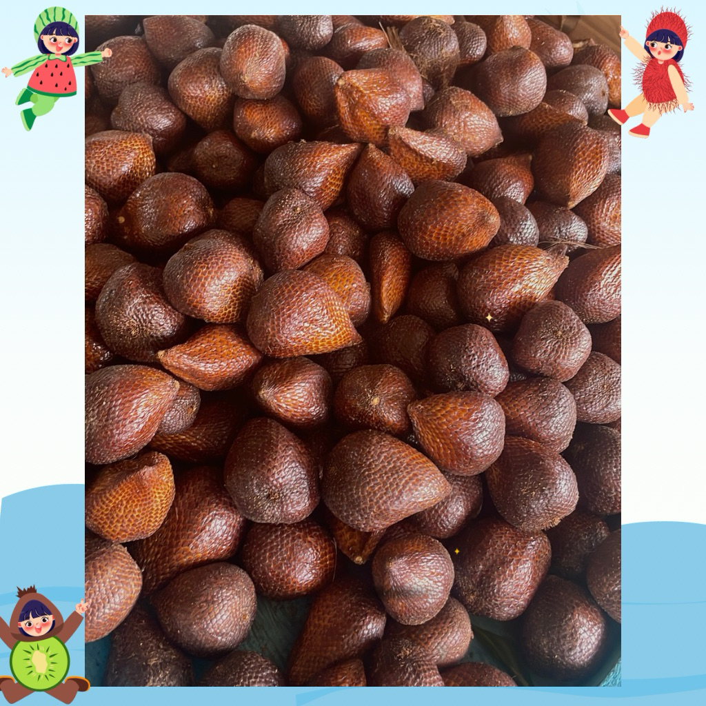 Salak Pondoh Asli Jogja