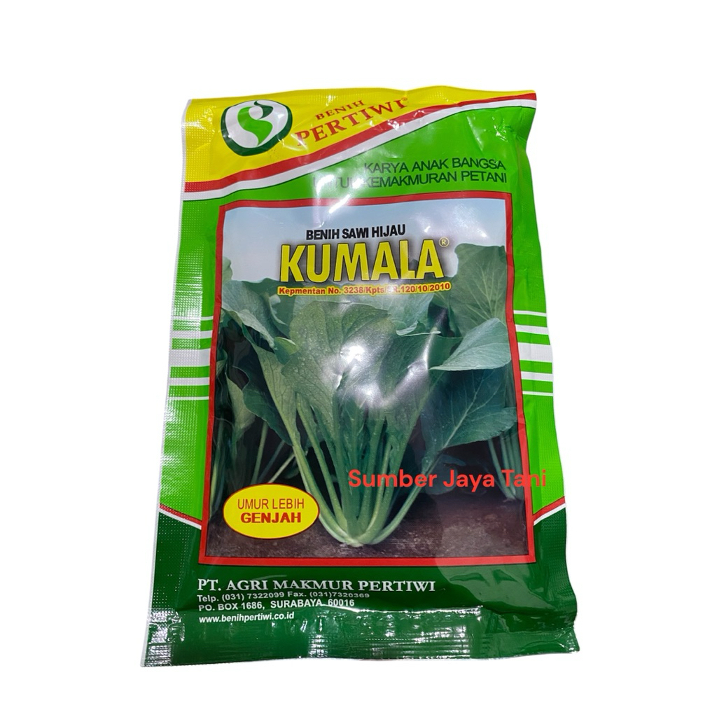 benih sawi manis Kumala 100gram