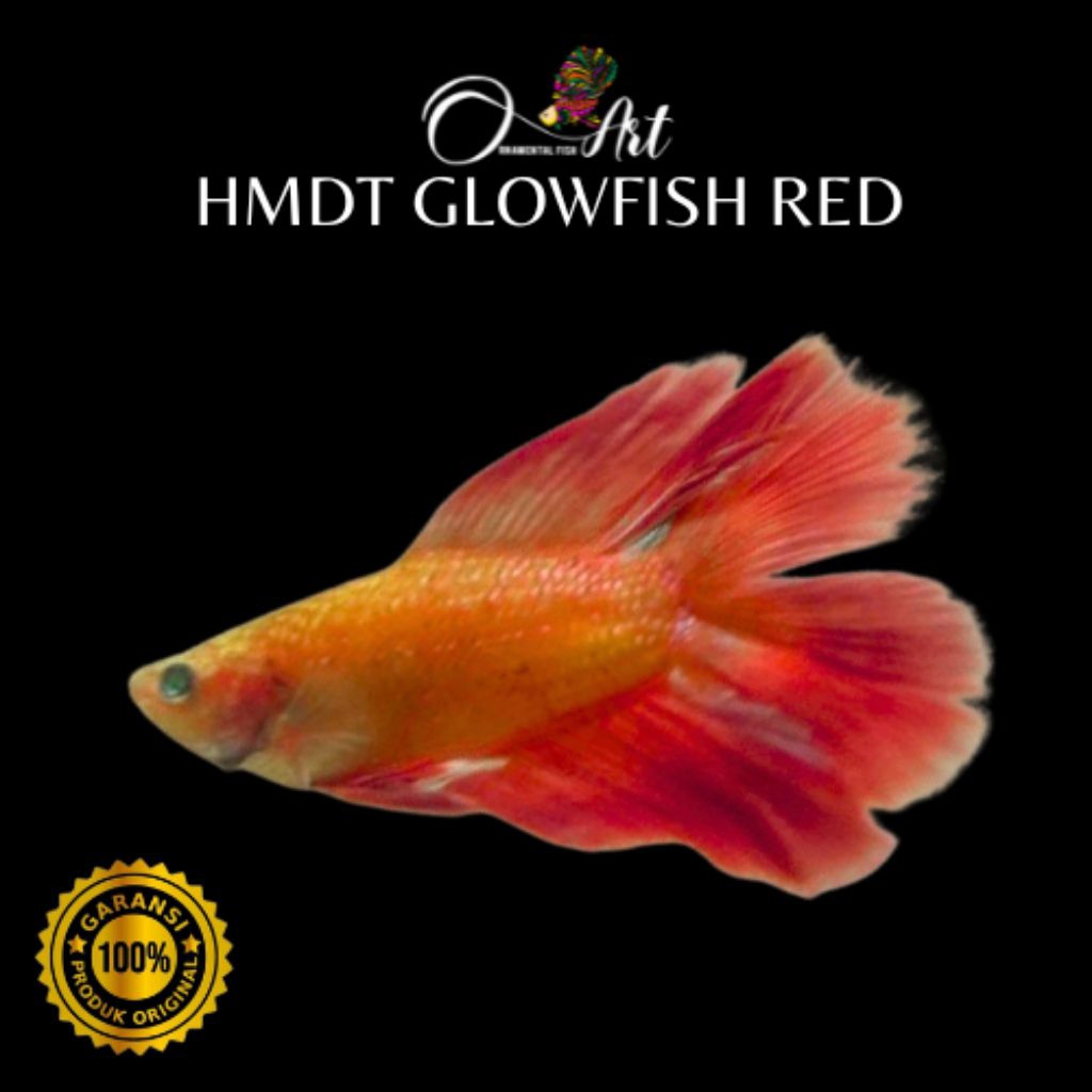 HMDT NEON RED Hiasan Aquarium Dekorasi