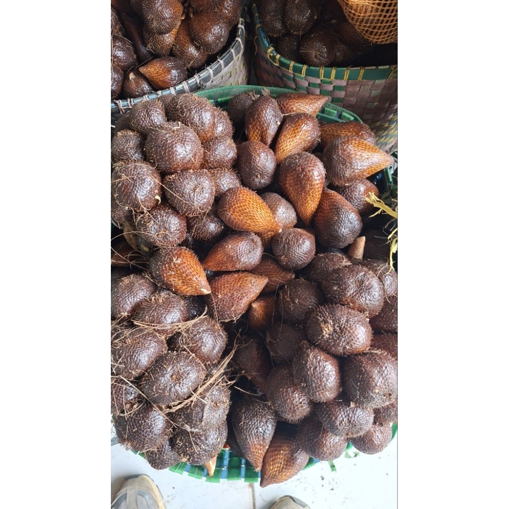 Salak pondoh asli pegunungan banjarnegara segar dan manis