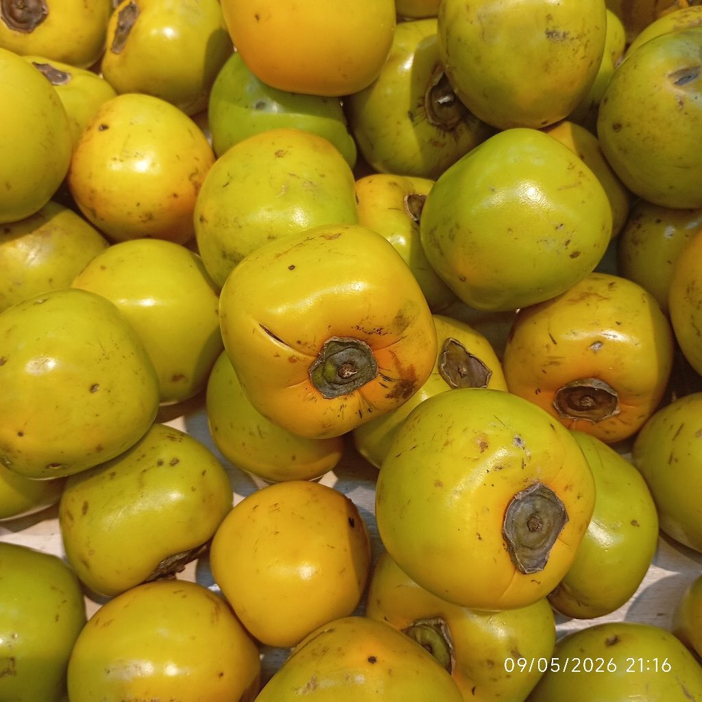 Kesemek Segar 1kg Buah Buahan lokal Fresh
