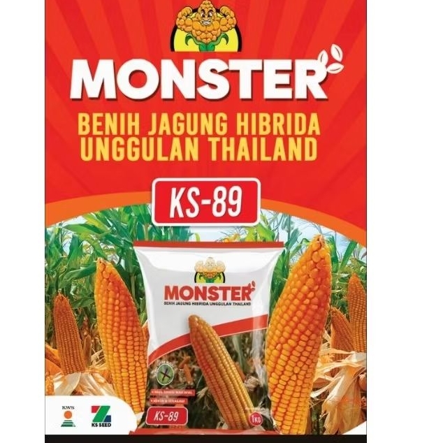 Benih jagung hibrida thailand MONSTER KS-89 kemasan 1kg