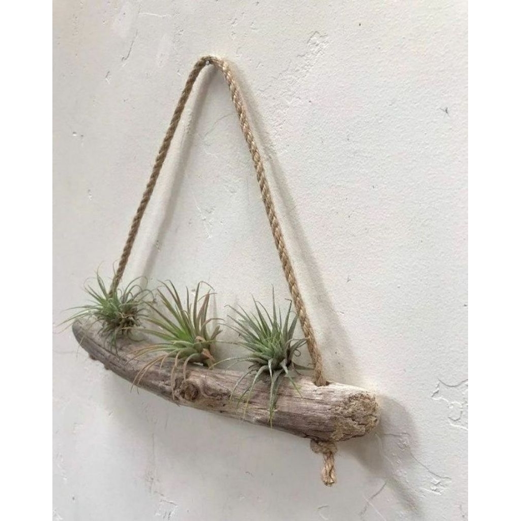 Hiasan dekorasi kayu rustic Pot bunga dari kayu apung