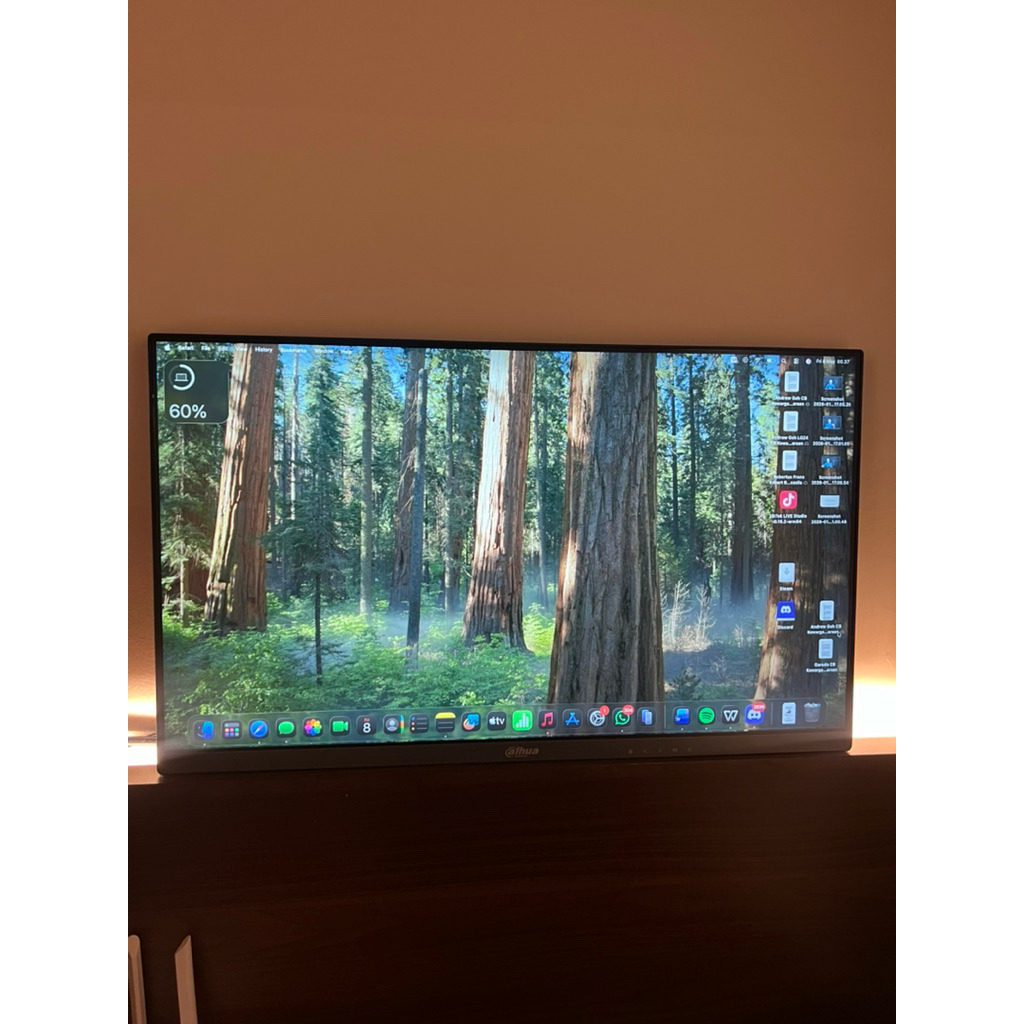 monitor dahoa 24 inc 100hz