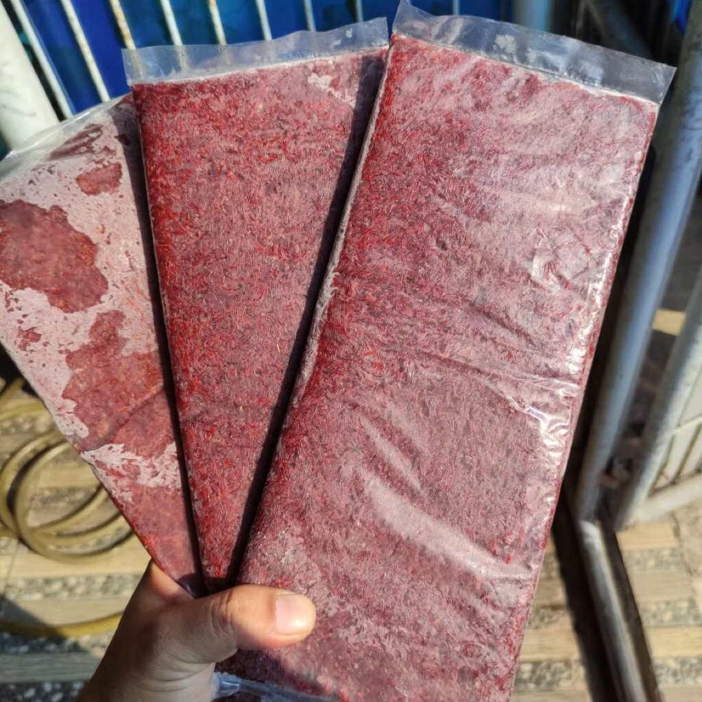 Cacing Darah Beku 250gr - Tanpa Pengawet, Segar, Cocok untuk Ikan Hias
