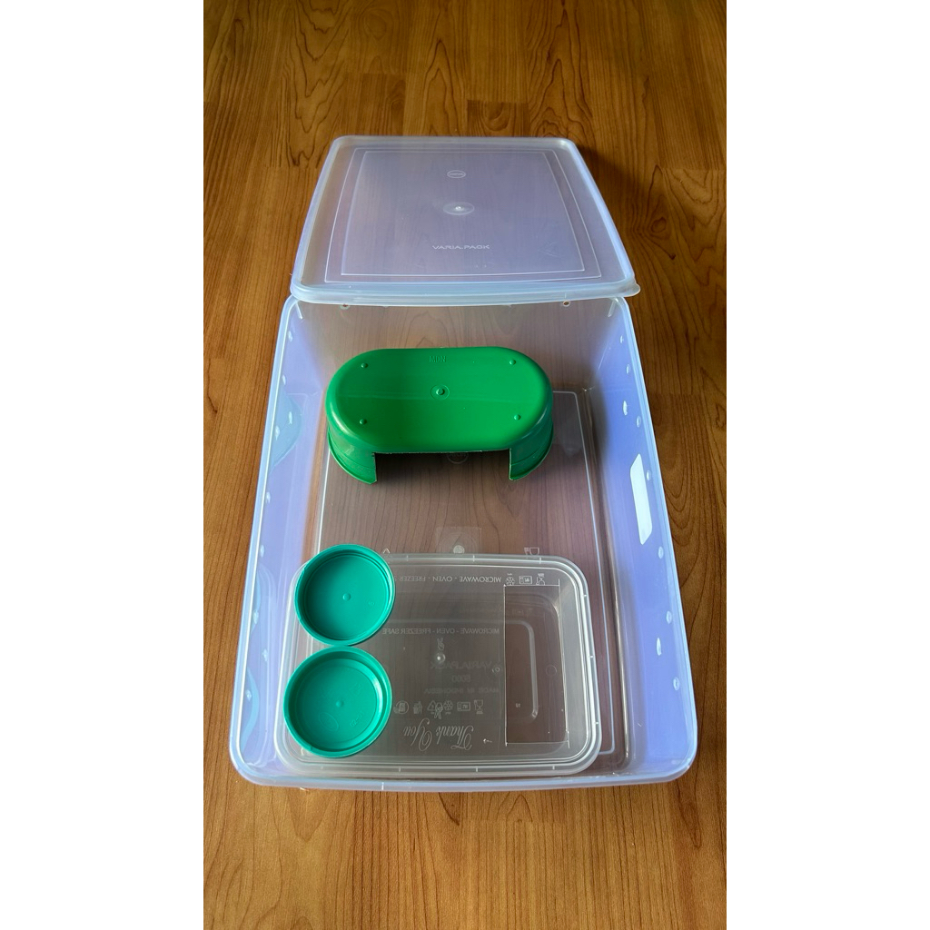 Tempat box untuk gecko