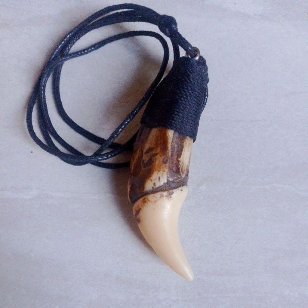 kalung taring replika tarber