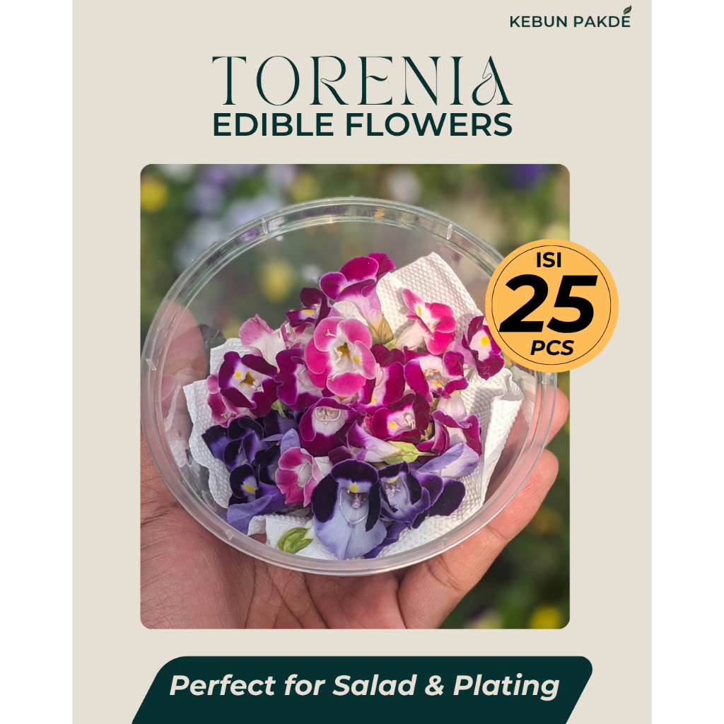 Torenia Edible Flowers Fresh | Bunga Makan cocok untuk Toping Makanan Minuman | Edible Flower | Sega