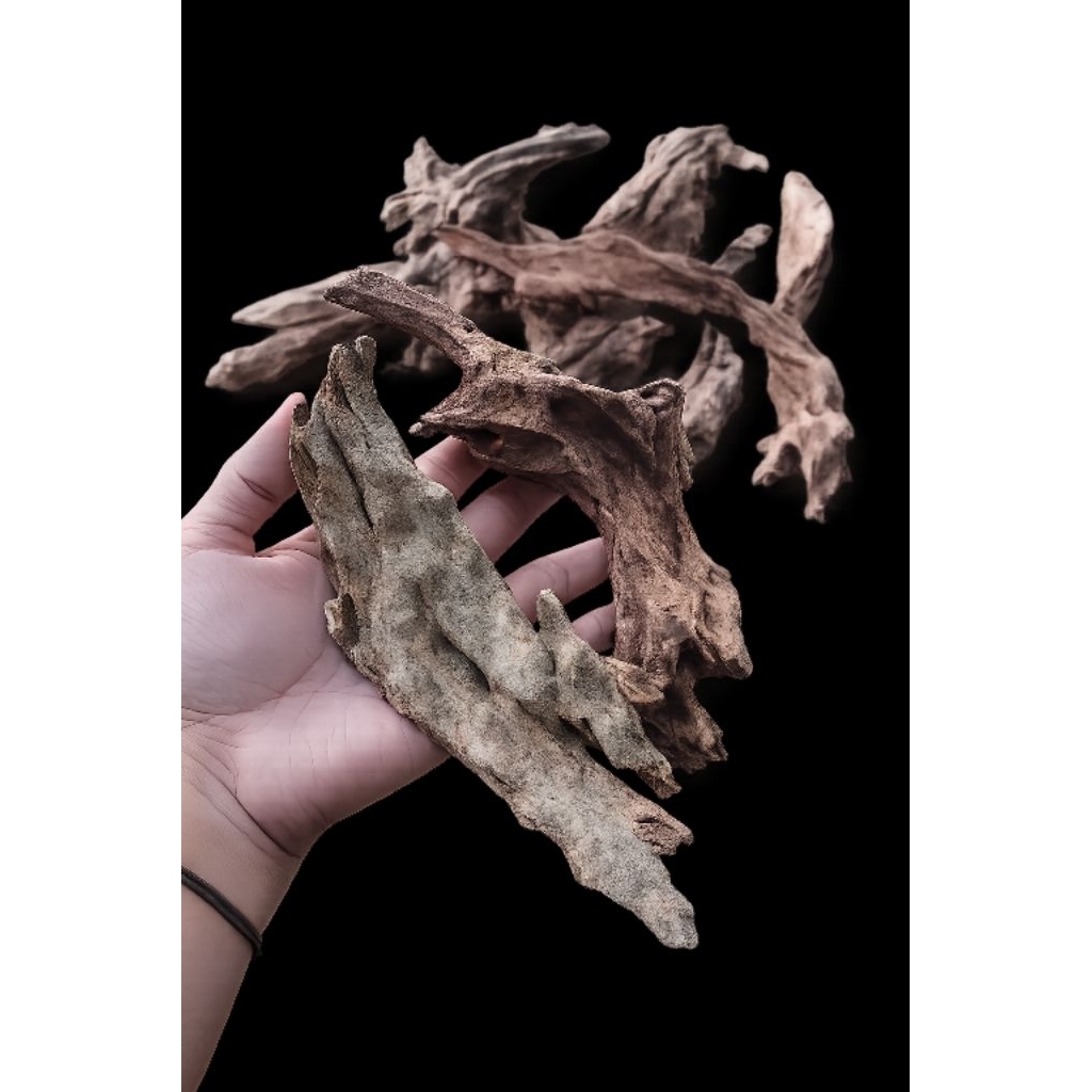 kayu fosil isi 10pcs,kayu rentek untuk Aquarium,aquascape