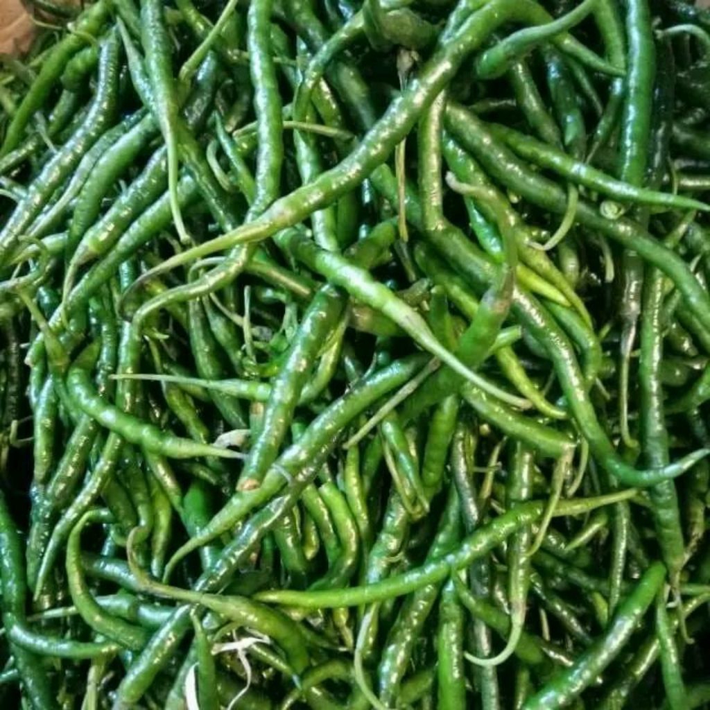 Termurah Cabe Hijau Keriting 1kg  Dijamin Fresh & Segar
