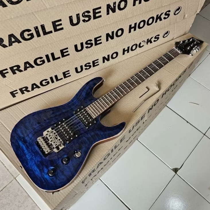 Gitar schecter damien 6 fr custom new