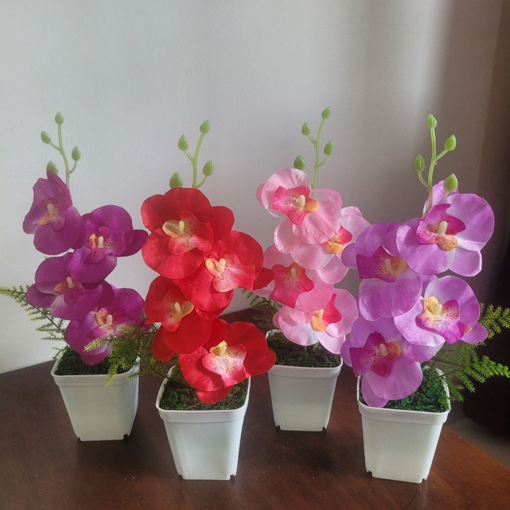 NEW BUNGA PLASTIK ANGGREK BULAN MINI ARTIFICIAL