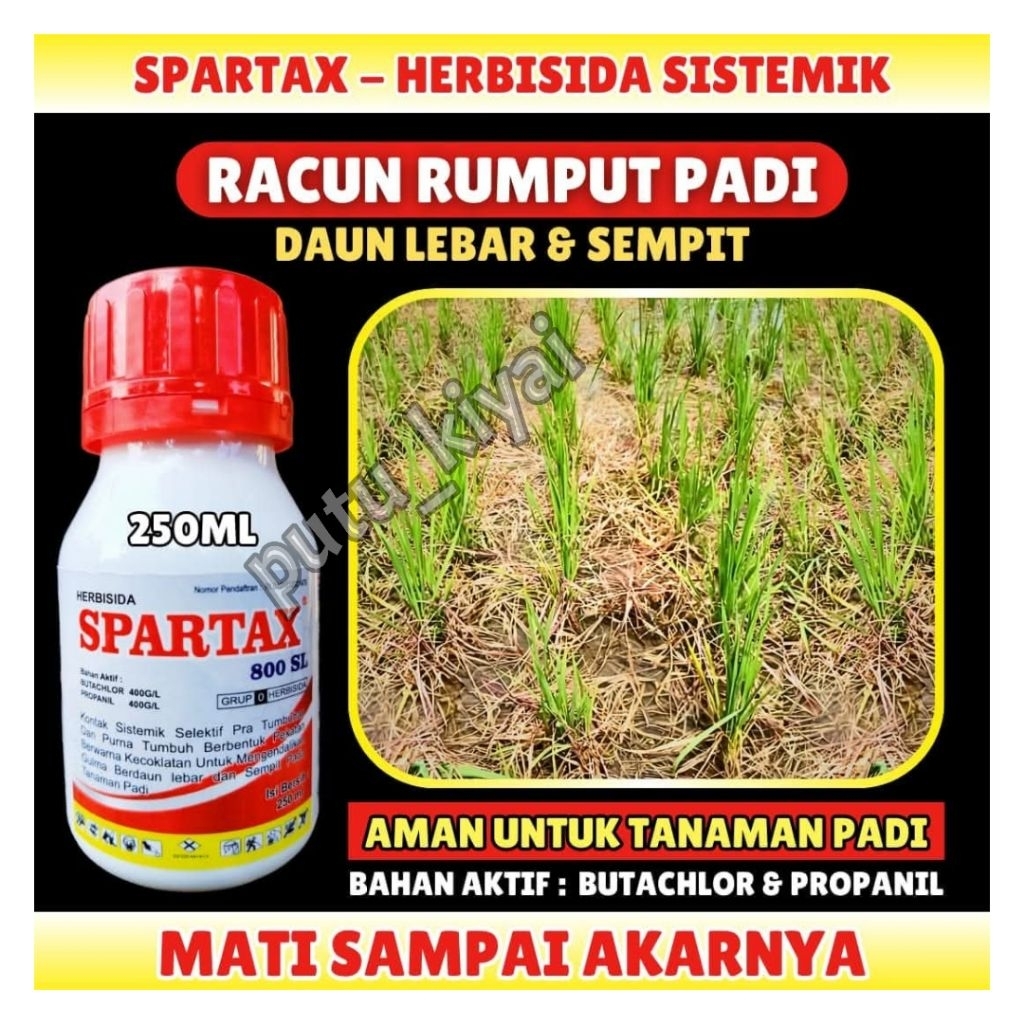 SPARTAX 800SL racun rumput padi