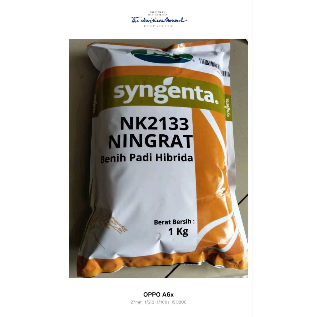 (1Kg) Benih Padi Hibrida Ningrat NK2133 SUPER Berkualitas