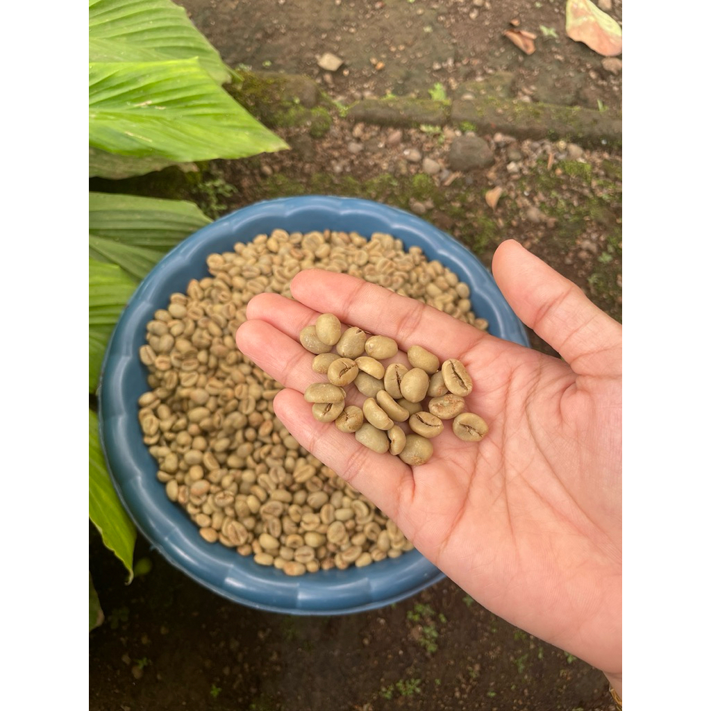 1Kg BIJI KOPI ASLI JEMBER