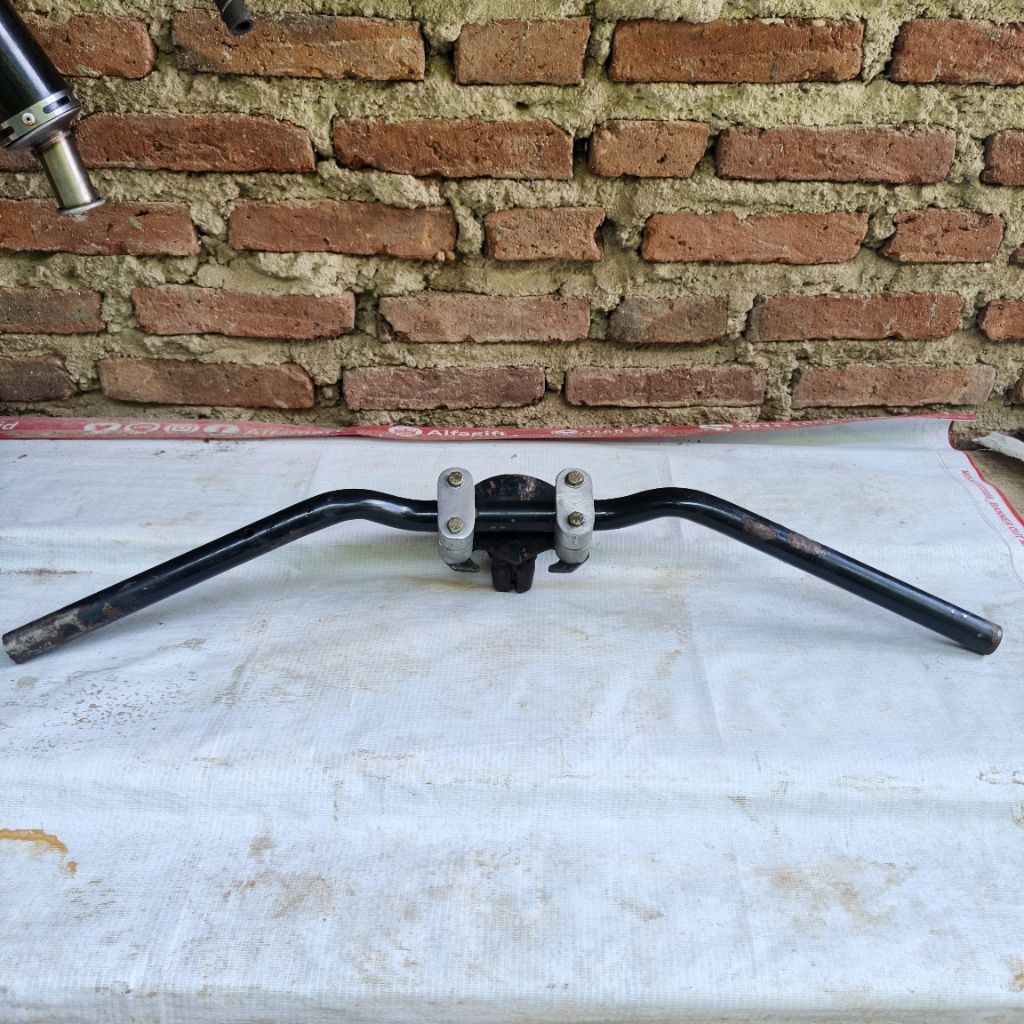 stang copotan F1ZR