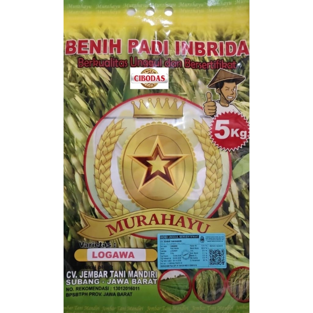 Benih Padi Inbrida CIBODAS LOGAWA 5 Kg
