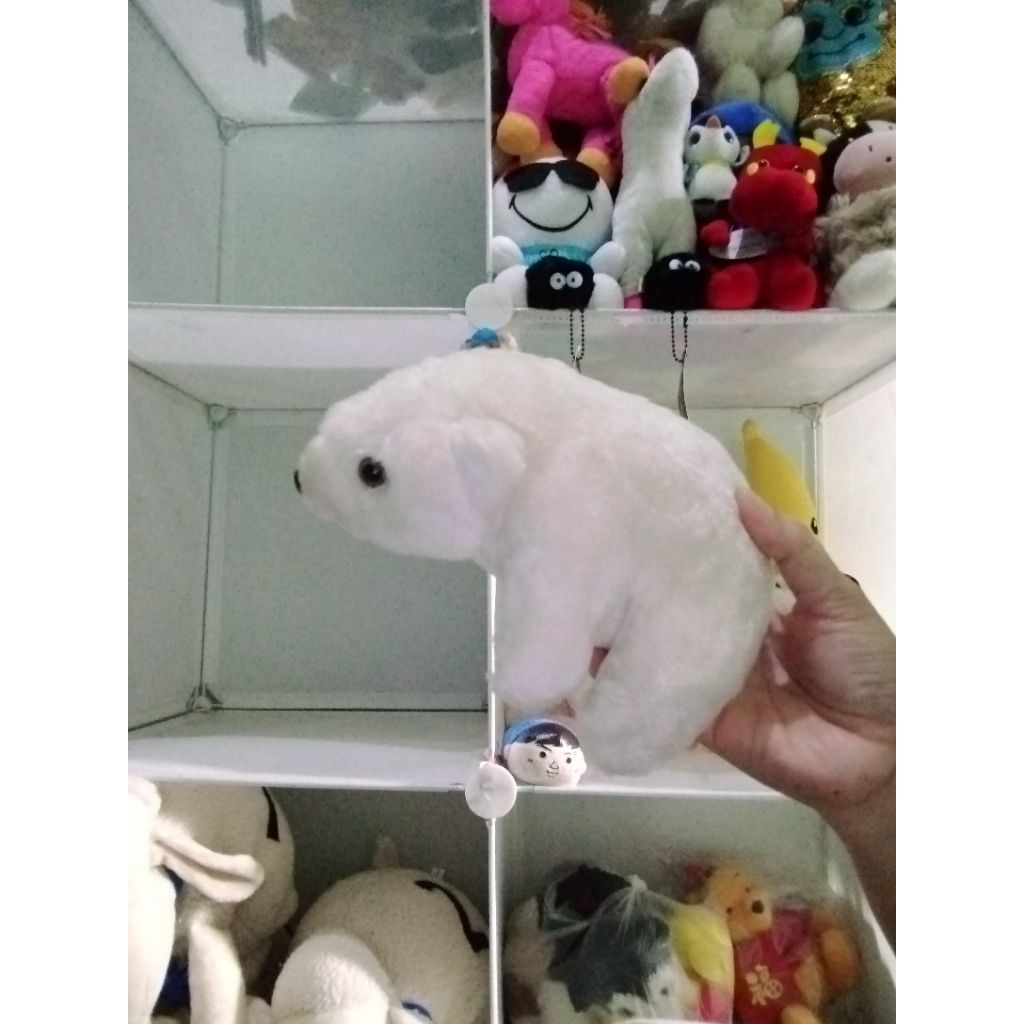 boneka beruang kutub.ice bear